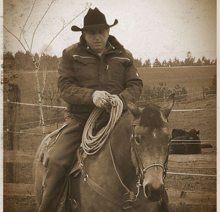 Horsemanship mit Hans Karner